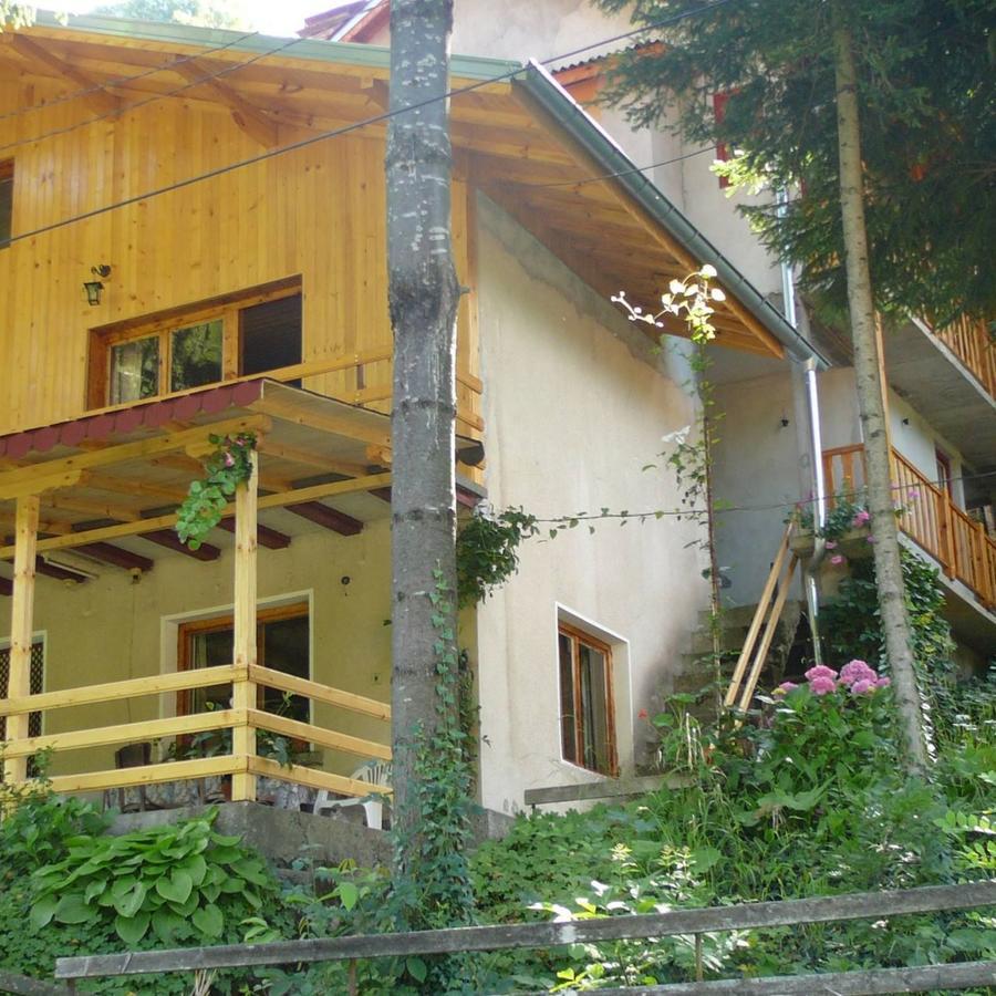 צ'יפליק Mountain Sun Guest House מראה חיצוני תמונה